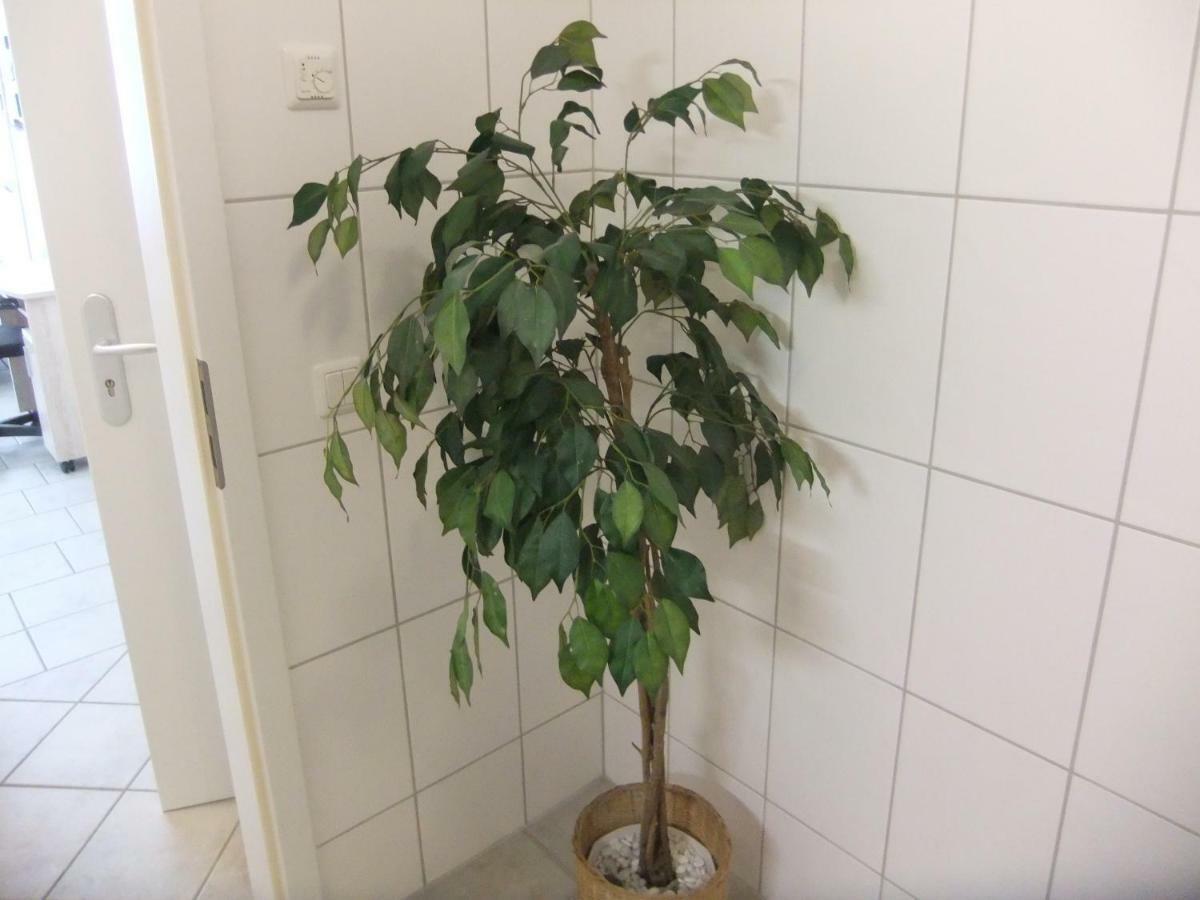 Beautiful Apartment Im Zentrum Von Sankt Augustin Εξωτερικό φωτογραφία
